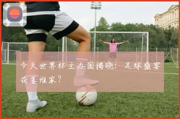今天世界杯主办国揭晓:足球盛宴花落谁家?
