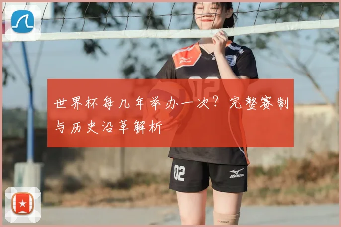 世界杯每几年举办一次？完整赛制与历史沿革解析