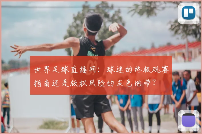 世界足球直播网:球迷的终极观赛指南还是版权风险的灰色地带?