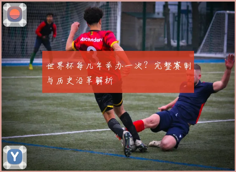 世界杯每几年举办一次？完整赛制与历史沿革解析